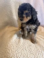 processed/9cb55854-2612-4ecf-a340-cd82007b13ab/listing/58cb697e-d460-4975-a4b6-bab0a814e327/695de303-de6c-45bf-81d1-228e315e0c6a