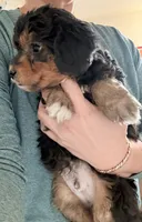 processed/9cb55854-2612-4ecf-a340-cd82007b13ab/listing/58cb697e-d460-4975-a4b6-bab0a814e327/f6ec2e2a-cf96-4e68-a399-167bbd7cc55e