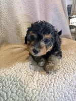 processed/9cb55854-2612-4ecf-a340-cd82007b13ab/listing/58cb697e-d460-4975-a4b6-bab0a814e327/fb032c22-7acf-4e48-842a-7d797768292f