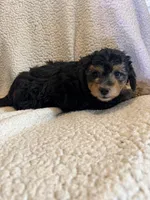 processed/9cb55854-2612-4ecf-a340-cd82007b13ab/listing/58cb697e-d460-4975-a4b6-bab0a814e327/fc1e9a7d-cd3b-4e2a-b387-b7b2d93621ac