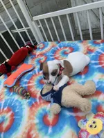 processed/9cbad9ef-990f-4d55-a0cb-b2de91010dfc/facility/0ce19a01-ccfb-46a8-a99d-aac2db4fec82