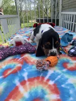 processed/9cbad9ef-990f-4d55-a0cb-b2de91010dfc/facility/47eb4d95-c62e-4db9-aac4-0ab48e86d3c1