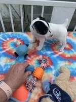 processed/9cbad9ef-990f-4d55-a0cb-b2de91010dfc/facility/5f507831-f903-45fd-9087-f759393dccd7