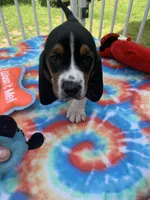 processed/9cbad9ef-990f-4d55-a0cb-b2de91010dfc/facility/d5aa6b42-3337-424a-9490-e48c76e665e0