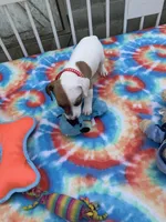 processed/9cbad9ef-990f-4d55-a0cb-b2de91010dfc/facility/deeb64c7-17f5-4584-ab08-2d0da54d03d3