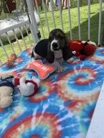 processed/9cbad9ef-990f-4d55-a0cb-b2de91010dfc/facility/ed01ee56-b126-4d4d-8157-0634703b5cc7