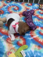 processed/9cbad9ef-990f-4d55-a0cb-b2de91010dfc/facility/f2fc6420-cc16-4c8f-b205-1fc72110c283