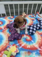 processed/9cbad9ef-990f-4d55-a0cb-b2de91010dfc/facility/f43d839b-b19e-4e3b-a1f3-70ef1b219824