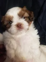 processed/9cc1662f-8a90-4008-805b-76b563b6836f/listing/45c2f2d2-8619-478c-8531-9596c514246a/06fb86f4-9a64-4b69-ae13-d491e2038dab