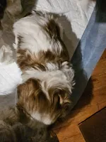 processed/9cc1662f-8a90-4008-805b-76b563b6836f/listing/45c2f2d2-8619-478c-8531-9596c514246a/8cd5fc6e-6b2a-42c2-a62e-be10d21f5cc8