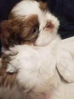 processed/9cc1662f-8a90-4008-805b-76b563b6836f/listing/45c2f2d2-8619-478c-8531-9596c514246a/e36c133b-0cab-4cb5-bd14-db205ebc0aa9