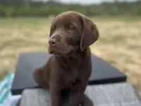 processed/9cc1b445-ca20-416b-b193-2e9c8297b04b/facility/06f766de-d8cc-472f-8038-e20d209247b6