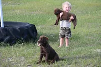 processed/9cc1b445-ca20-416b-b193-2e9c8297b04b/facility/18b73565-f186-42b7-a75e-aaeadb66417f