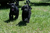 processed/9cc1b445-ca20-416b-b193-2e9c8297b04b/facility/a5818d77-12b3-4656-9287-2895f56ff832