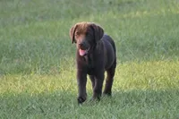 processed/9cc1b445-ca20-416b-b193-2e9c8297b04b/facility/b501e9c3-650d-47fd-a376-c5b4ad581f95