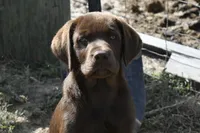 processed/9cc1b445-ca20-416b-b193-2e9c8297b04b/facility/d3c59b21-6dec-4ca4-a82e-0c2a315738a9