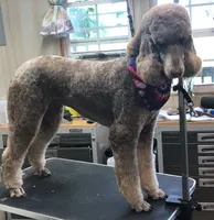 processed/9cc65bc4-d521-4020-bf9b-1ba0007383a6/facility/e3fd94be-7e58-4919-be43-7b45741bd8d7