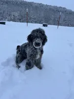 processed/9cc65bc4-d521-4020-bf9b-1ba0007383a6/listing/694c4a13-fbd5-428f-8e7e-34e21f7b5919/067a33d4-b5c7-4ee5-be71-667d1d506abd