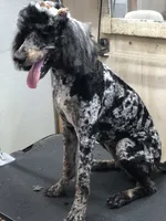 processed/9cc65bc4-d521-4020-bf9b-1ba0007383a6/listing/694c4a13-fbd5-428f-8e7e-34e21f7b5919/54e26e18-4945-4f8d-a7ec-59c28139d639