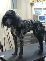 processed/9cc65bc4-d521-4020-bf9b-1ba0007383a6/listing/694c4a13-fbd5-428f-8e7e-34e21f7b5919/cb60f070-d9ef-44fe-907a-8537fb9733b0