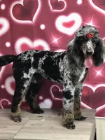 processed/9cc65bc4-d521-4020-bf9b-1ba0007383a6/listing/694c4a13-fbd5-428f-8e7e-34e21f7b5919/e4d10e07-2b19-4c89-9482-c01034e3ed23