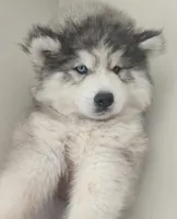 processed/9cc72095-0d2f-4321-a50d-edf4b9b0ec05/listing/5cd87633-1452-42f7-a0a7-73a82c46d3d2/9310fa4d-236c-44e3-a45b-984c27beacf7