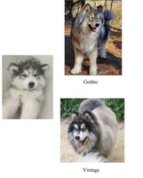 processed/9cc72095-0d2f-4321-a50d-edf4b9b0ec05/listing/5cd87633-1452-42f7-a0a7-73a82c46d3d2/c4705675-01af-41e3-bd9e-2bd7b7cbd7b5