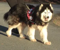 processed/9cc72095-0d2f-4321-a50d-edf4b9b0ec05/listing/7cedba75-4e3c-4789-a20f-53e5a7a0cdf5/0280354c-28d7-4330-8041-8f336473dd1c