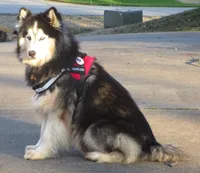 processed/9cc72095-0d2f-4321-a50d-edf4b9b0ec05/listing/7cedba75-4e3c-4789-a20f-53e5a7a0cdf5/14fc0495-5597-4965-aa79-d01fdb926776