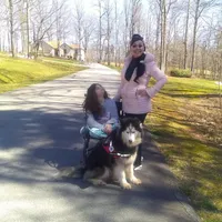 Wooly Prince, a male Siberian Husky for sale in Denver, NC – Photo 9 of 9