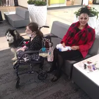 Wooly Prince, a male Siberian Husky for sale in Denver, NC – Photo 7 of 9