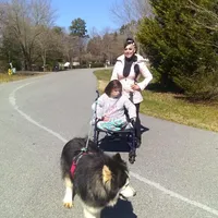 Wooly Prince, a male Siberian Husky for sale in Denver, NC – Photo 8 of 9