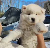 processed/9cc72095-0d2f-4321-a50d-edf4b9b0ec05/listing/c280e2d1-7162-4ff1-bba9-4090c9ba4621/27be2f81-5c8b-41be-9183-081a7e13cf94