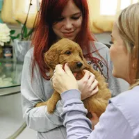 processed/9cd13a51-bed3-4407-a4b9-81d6cb77683a/facility/06fcf733-fd47-43a3-b429-e7f82b044513