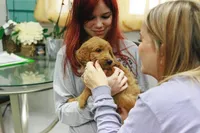 processed/9cd13a51-bed3-4407-a4b9-81d6cb77683a/facility/06fcf733-fd47-43a3-b429-e7f82b044513