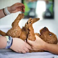 processed/9cd13a51-bed3-4407-a4b9-81d6cb77683a/facility/512a524b-1e31-4d82-8748-374c40660009