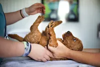 processed/9cd13a51-bed3-4407-a4b9-81d6cb77683a/facility/512a524b-1e31-4d82-8748-374c40660009