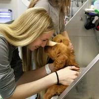 processed/9cd13a51-bed3-4407-a4b9-81d6cb77683a/facility/6ec60c2b-87f3-4ece-881f-cf8c560330a6