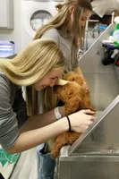 processed/9cd13a51-bed3-4407-a4b9-81d6cb77683a/facility/6ec60c2b-87f3-4ece-881f-cf8c560330a6