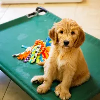 processed/9cd13a51-bed3-4407-a4b9-81d6cb77683a/facility/72c52ac8-d5aa-4533-8194-62440b4fc478