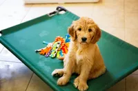 processed/9cd13a51-bed3-4407-a4b9-81d6cb77683a/facility/72c52ac8-d5aa-4533-8194-62440b4fc478