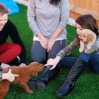 processed/9cd13a51-bed3-4407-a4b9-81d6cb77683a/facility/b5c64338-e31c-4b82-a620-acc0bb080c69