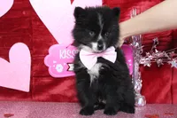 processed/9cd2501e-d169-45e7-acd6-876a5ac5eb5a/listing/b59feb6c-34fe-49fd-ad94-6cbbb6741d75/1e642d00-e963-4628-b26b-a8188f4ca1a2