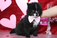 processed/9cd2501e-d169-45e7-acd6-876a5ac5eb5a/listing/b59feb6c-34fe-49fd-ad94-6cbbb6741d75/5d503c0c-51ac-435b-b8f0-3639afc5b1b0