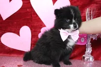 processed/9cd2501e-d169-45e7-acd6-876a5ac5eb5a/listing/b59feb6c-34fe-49fd-ad94-6cbbb6741d75/5e84fc19-a678-4acf-9986-c8832fc8bcae