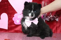 processed/9cd2501e-d169-45e7-acd6-876a5ac5eb5a/listing/b59feb6c-34fe-49fd-ad94-6cbbb6741d75/68fdc17a-50b7-4e3e-8227-55f208984edf