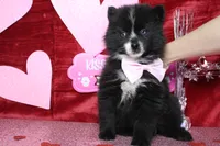 processed/9cd2501e-d169-45e7-acd6-876a5ac5eb5a/listing/b59feb6c-34fe-49fd-ad94-6cbbb6741d75/e0d9b981-dc91-4d0b-8fc4-2d716346e956