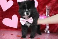 processed/9cd2501e-d169-45e7-acd6-876a5ac5eb5a/listing/b59feb6c-34fe-49fd-ad94-6cbbb6741d75/ffece734-55a7-408a-a68f-ddb662b90fbd