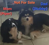 processed/9cd6b043-00c4-4b01-9d75-5865e2efe47e/listing/ef1c261e-c7f7-426d-8600-df29dbd8ce3a/8ed86c0a-8ed6-48b4-8b48-34a787ad4082