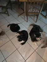 processed/9cd6b043-00c4-4b01-9d75-5865e2efe47e/listing/ef1c261e-c7f7-426d-8600-df29dbd8ce3a/9eb2b56a-47b9-43a7-afc4-5f60e6666b4e